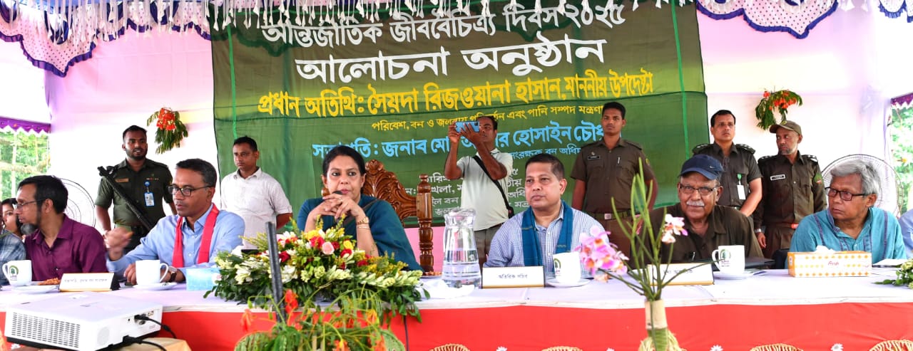 অবক্ষয়িত শালবন পুনরুদ্ধারে সরকার বদ্ধপরিকর: রিজওয়ানা হাসান